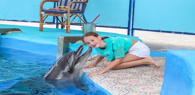 Playing with dolphin